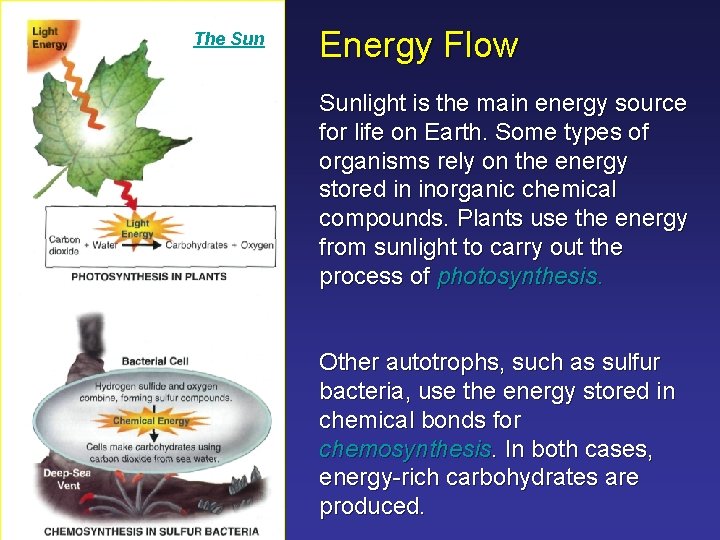 The Sun Energy Flow Sunlight is the main energy source for life on Earth.