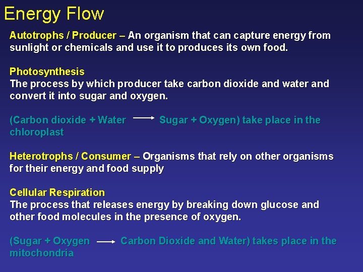 Energy Flow Autotrophs / Producer – An organism that can capture energy from sunlight