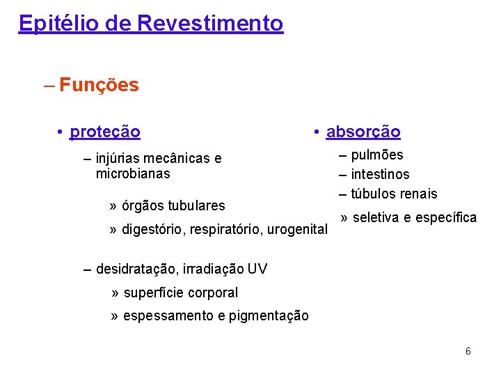 Epitélio de Revestimento – Funções • proteção • absorção – injúrias mecânicas e microbianas