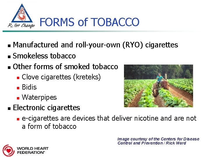 FORMS of TOBACCO Manufactured and roll-your-own (RYO) cigarettes n Smokeless tobacco n Other forms