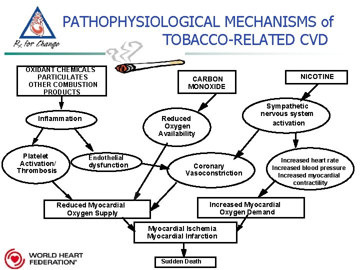 PATHOPHYSIOLOGICAL MECHANISMS of TOBACCO-RELATED CVD OXIDANT CHEMICALS PARTICULATES OTHER COMBUSTION PRODUCTS Inflammation Platelet Activation/