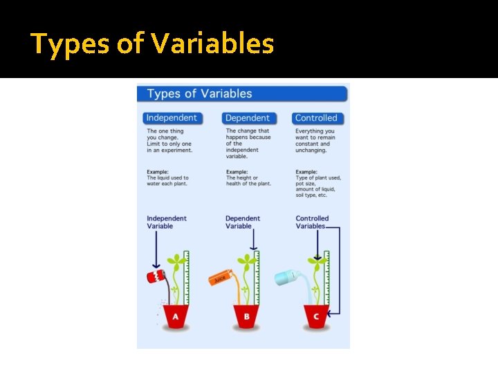 Types of Variables 