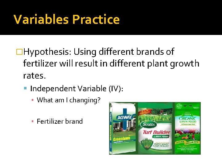 Variables Practice �Hypothesis: Using different brands of fertilizer will result in different plant growth