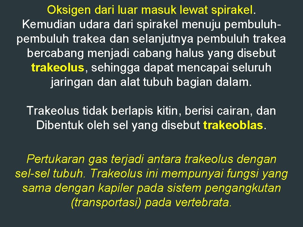 Oksigen dari luar masuk lewat spirakel. Kemudian udara dari spirakel menuju pembuluh trakea dan