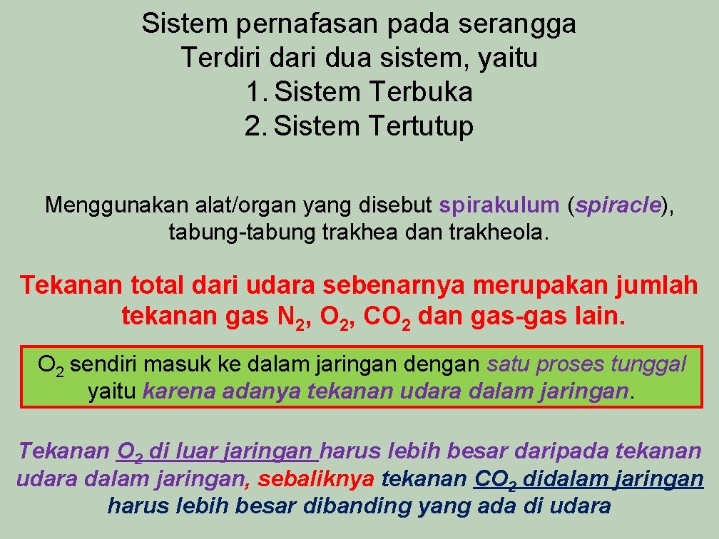 Sistem pernafasan pada serangga Terdiri dari dua sistem, yaitu 1. Sistem Terbuka 2. Sistem