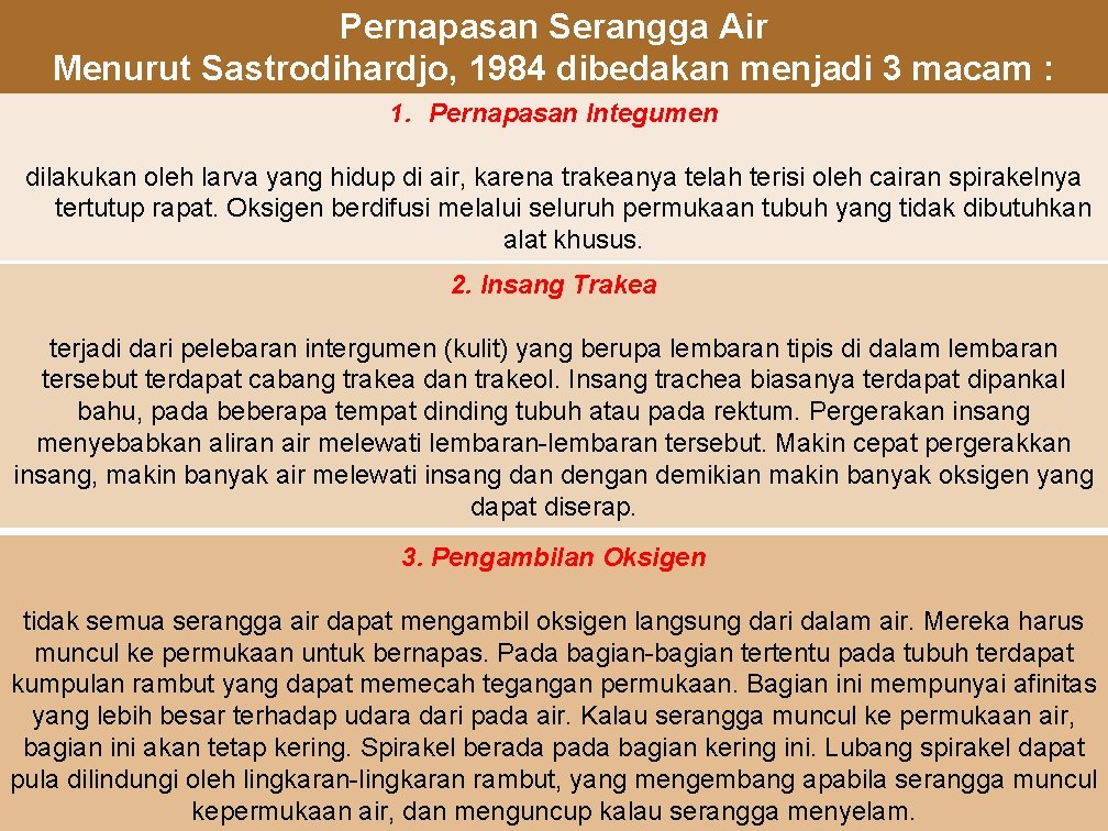 Pernapasan Serangga Air Menurut Sastrodihardjo, 1984 dibedakan menjadi 3 macam : 1. Pernapasan Integumen