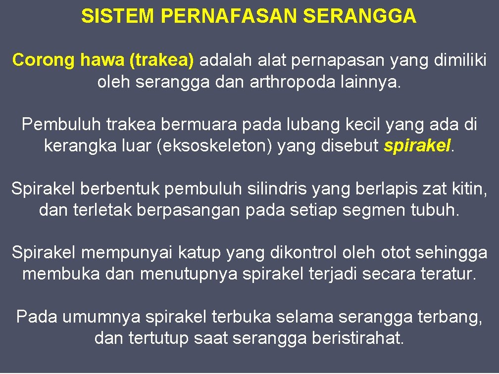 SISTEM PERNAFASAN SERANGGA Corong hawa (trakea) adalah alat pernapasan yang dimiliki oleh serangga dan