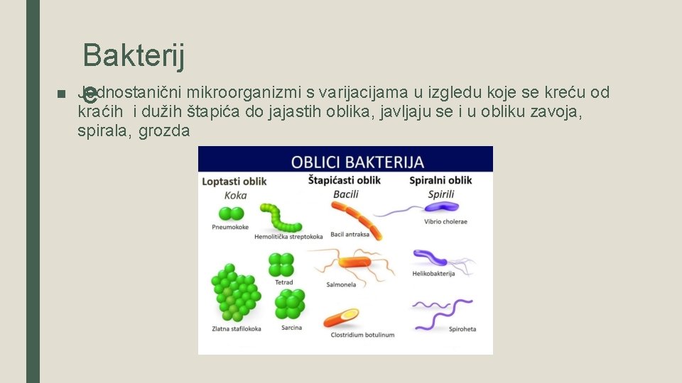 ■ Bakterij Jednostanični mikroorganizmi s varijacijama u izgledu koje se kreću od e kraćih