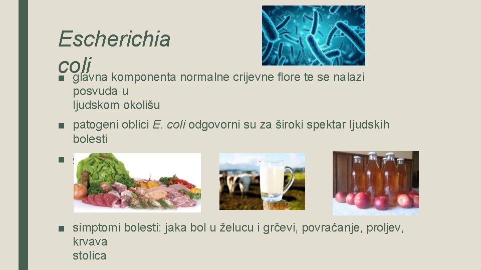 Escherichia coli ■ glavna komponenta normalne crijevne flore te se nalazi posvuda u ljudskom
