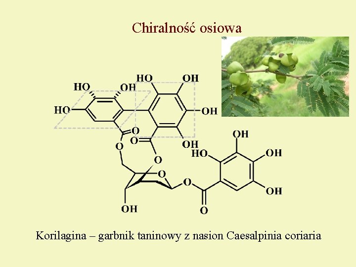 Chiralność osiowa Korilagina – garbnik taninowy z nasion Caesalpinia coriaria 
