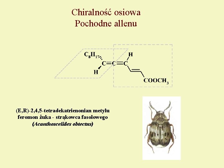 Chiralność osiowa Pochodne allenu (E, R)-2, 4, 5 -tetradekatrienonian metylu feromon żuka - strąkowca