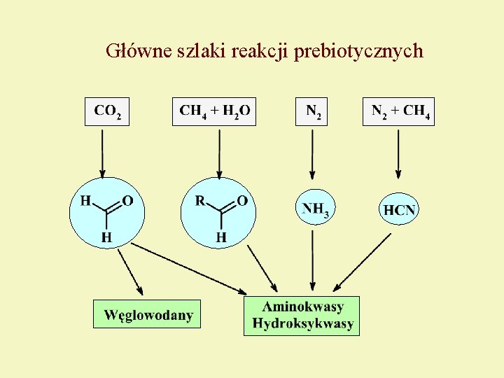 Główne szlaki reakcji prebiotycznych 