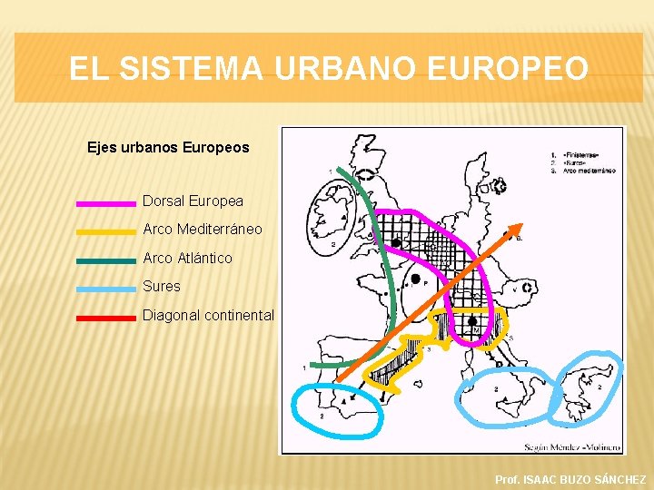 EL SISTEMA URBANO EUROPEO Ejes urbanos Europeos Dorsal Europea Arco Mediterráneo Arco Atlántico Sures