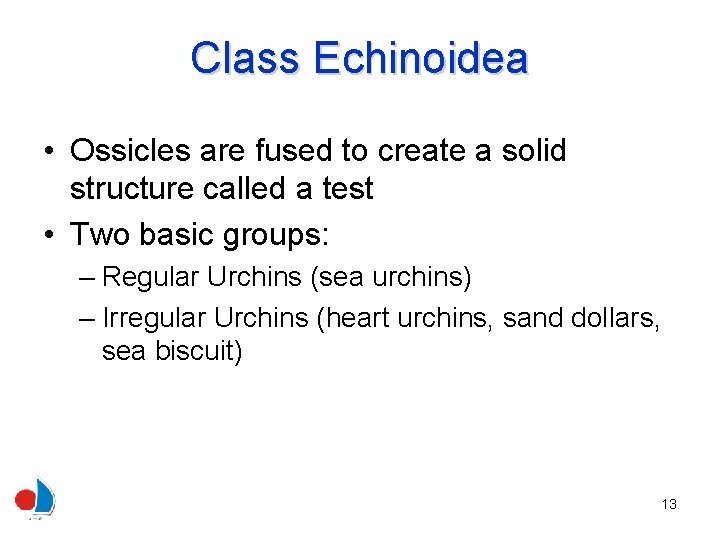 Class Echinoidea • Ossicles are fused to create a solid structure called a test