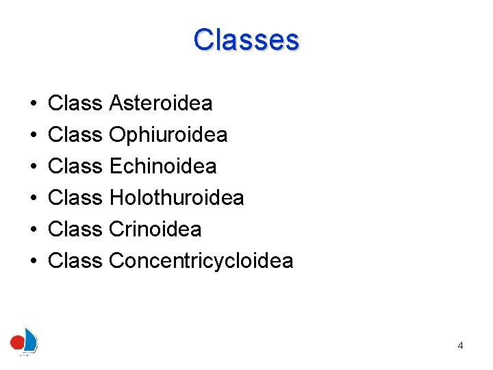 Classes • • • Class Asteroidea Class Ophiuroidea Class Echinoidea Class Holothuroidea Class Crinoidea