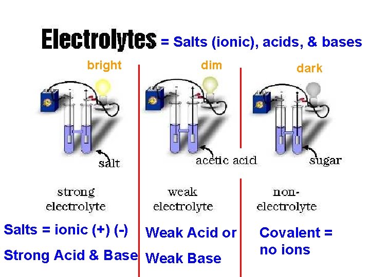 Solutions = Salts (ionic), acids, & bases bright Salts = ionic (+) (-) dim