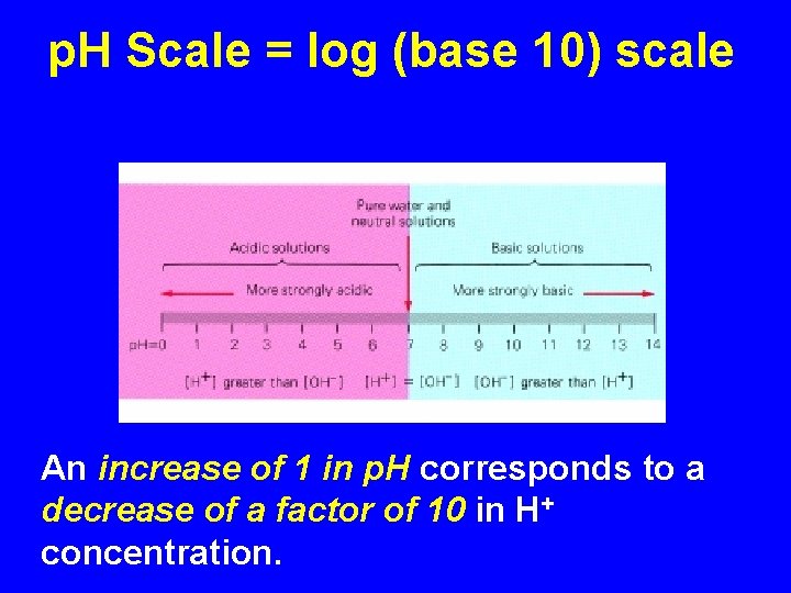 p. H Scale = log (base 10) scale p. H is. . Big in