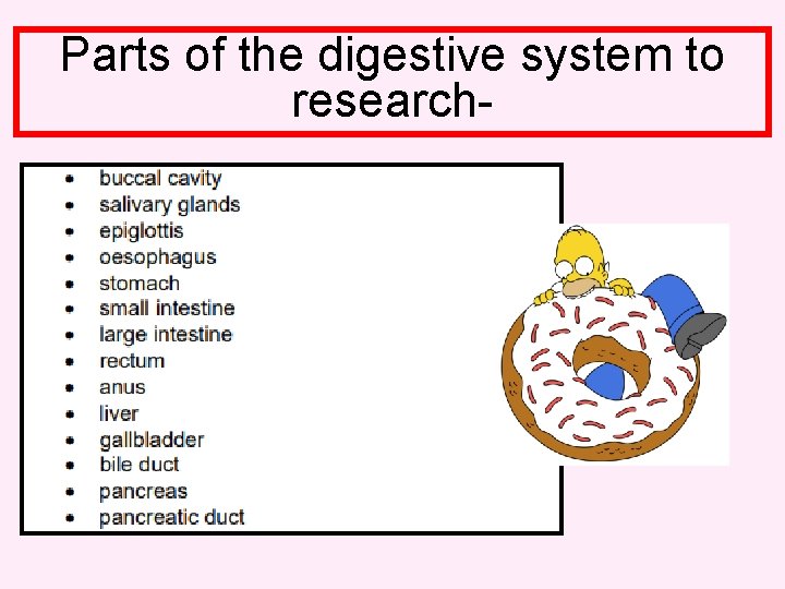 Parts of the digestive system to research- 