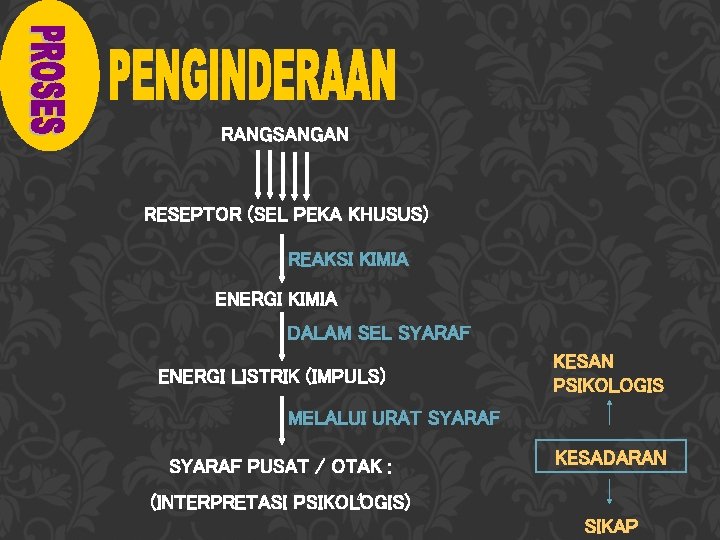 RANGSANGAN RESEPTOR (SEL PEKA KHUSUS) REAKSI KIMIA ENERGI KIMIA DALAM SEL SYARAF ENERGI LISTRIK