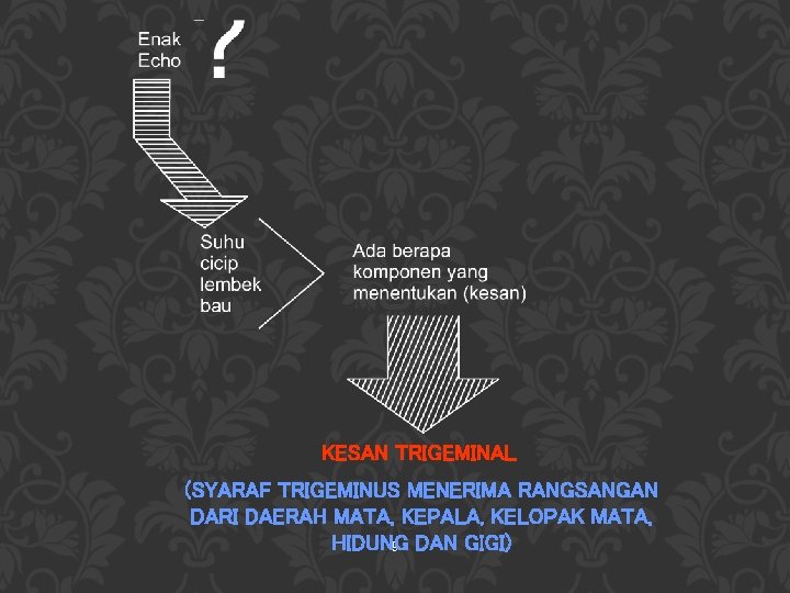 KESAN TRIGEMINAL (SYARAF TRIGEMINUS MENERIMA RANGSANGAN DARI DAERAH MATA, KEPALA, KELOPAK MATA, HIDUNG 9