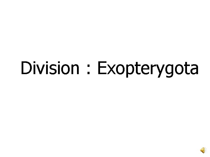 Division : Exopterygota 