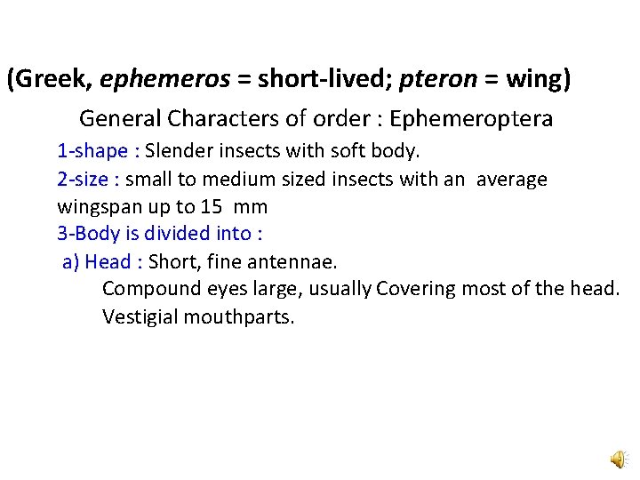 (Greek, ephemeros = short-lived; pteron = wing) General Characters of order : Ephemeroptera 1