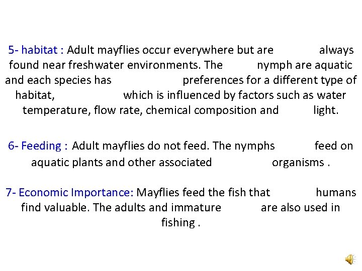 5 - habitat : Adult mayflies occur everywhere but are always found near freshwater