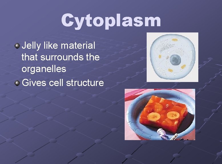 Cytoplasm Jelly like material that surrounds the organelles Gives cell structure 