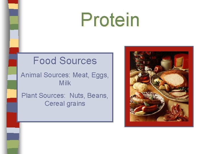 Protein Food Sources Animal Sources: Meat, Eggs, Milk Plant Sources: Nuts, Beans, Cereal grains