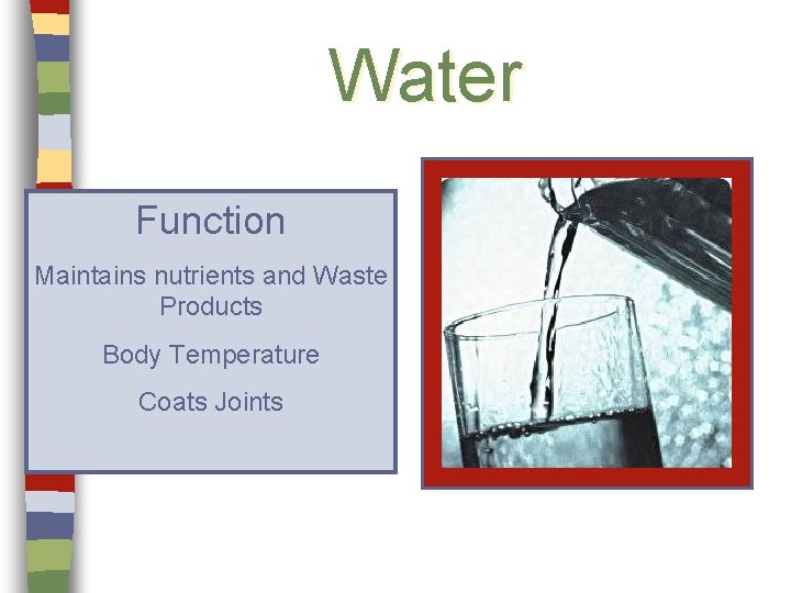 Water Function Maintains nutrients and Waste Products Body Temperature Coats Joints 