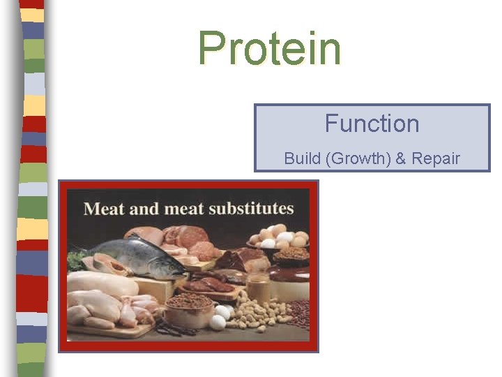 Protein Function Build (Growth) & Repair 