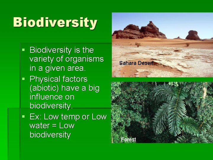 Biodiversity § Biodiversity is the variety of organisms in a given area. § Physical
