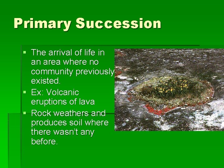 Primary Succession § The arrival of life in an area where no community previously