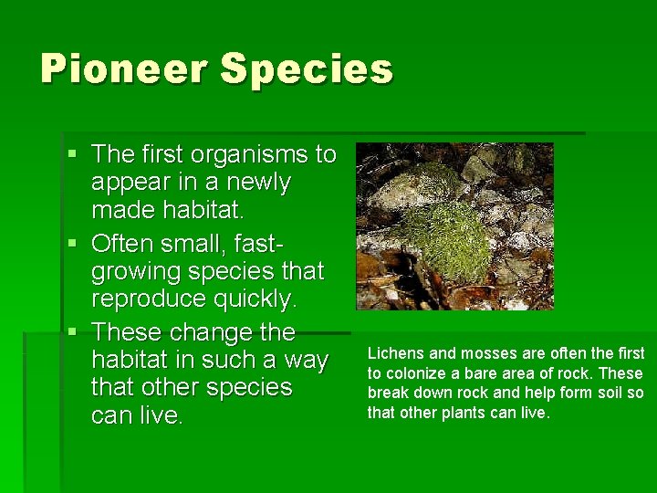 Pioneer Species § The first organisms to appear in a newly made habitat. §