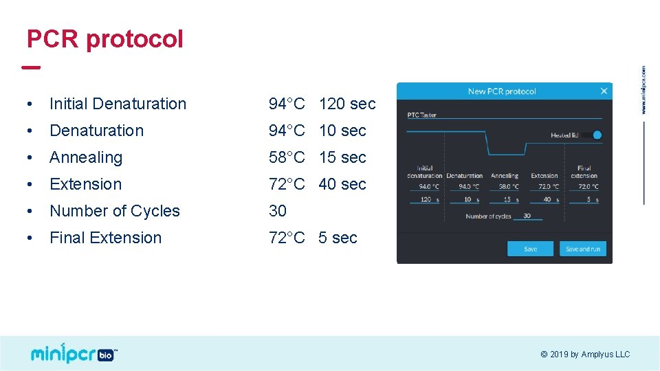 PCR protocol • Initial Denaturation 94°C 120 sec • Denaturation 94°C 10 sec •