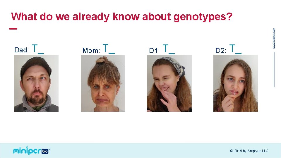 What do we already know about genotypes? Dad: T_ Mom: T_ D 1: T_