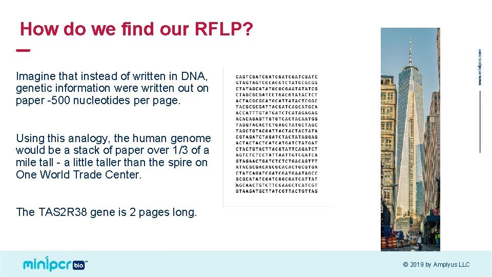 How do we find our RFLP? Imagine that instead of written in DNA, genetic