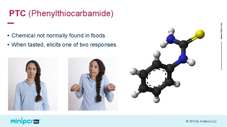 PTC (Phenylthiocarbamide) • Chemical not normally found in foods. • When tasted, elicits one