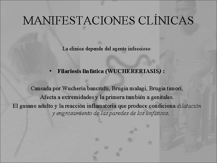 MANIFESTACIONES CLÍNICAS La clinica depende del agente infeccioso: • Filariosis linfática (WUCHERERIASIS) : Causada