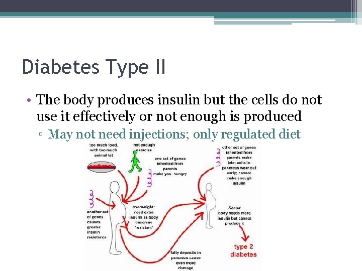 Diabetes Type II • The body produces insulin but the cells do not use