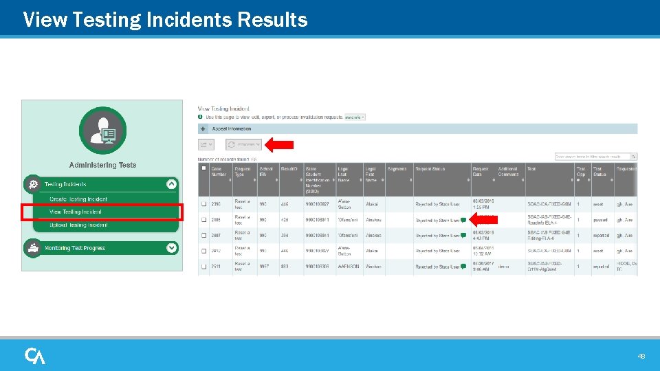 View Testing Incidents Results 48 