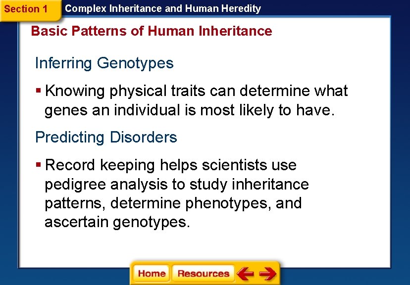 Section 1 Complex Inheritance and Human Heredity Basic Patterns of Human Inheritance Inferring Genotypes Section 1 Complex Inheritance and Human Heredity Basic Patterns of Human Inheritance Inferring Genotypes