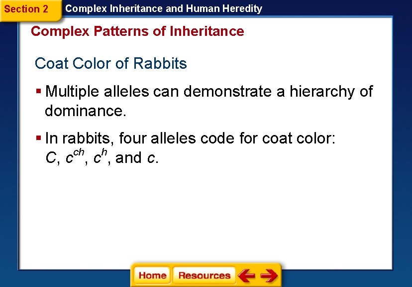 Section 2 Complex Inheritance and Human Heredity Complex Patterns of Inheritance Coat Color of Section 2 Complex Inheritance and Human Heredity Complex Patterns of Inheritance Coat Color of