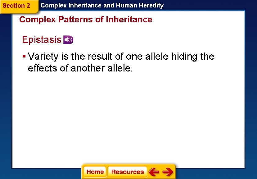 Section 2 Complex Inheritance and Human Heredity Complex Patterns of Inheritance Epistasis § Variety Section 2 Complex Inheritance and Human Heredity Complex Patterns of Inheritance Epistasis § Variety