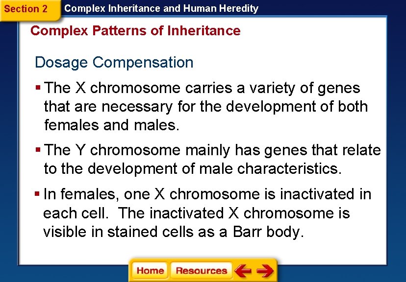 Section 2 Complex Inheritance and Human Heredity Complex Patterns of Inheritance Dosage Compensation § Section 2 Complex Inheritance and Human Heredity Complex Patterns of Inheritance Dosage Compensation §