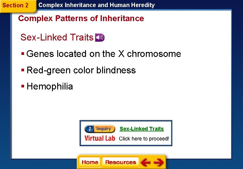 Section 2 Complex Inheritance and Human Heredity Complex Patterns of Inheritance Sex-Linked Traits § Section 2 Complex Inheritance and Human Heredity Complex Patterns of Inheritance Sex-Linked Traits §