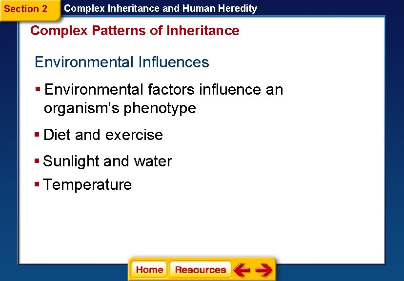 Section 2 Complex Inheritance and Human Heredity Complex Patterns of Inheritance Environmental Influences § Section 2 Complex Inheritance and Human Heredity Complex Patterns of Inheritance Environmental Influences §