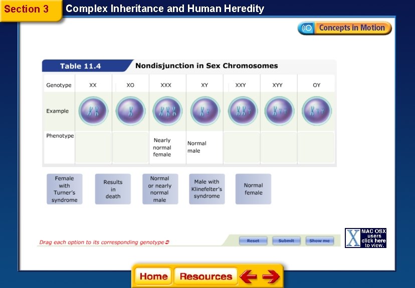 Section 3 Complex Inheritance and Human Heredity Section 3 Complex Inheritance and Human Heredity