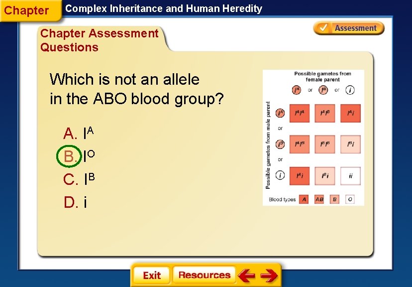 Chapter Complex Inheritance and Human Heredity Chapter Assessment Questions Which is not an allele Chapter Complex Inheritance and Human Heredity Chapter Assessment Questions Which is not an allele