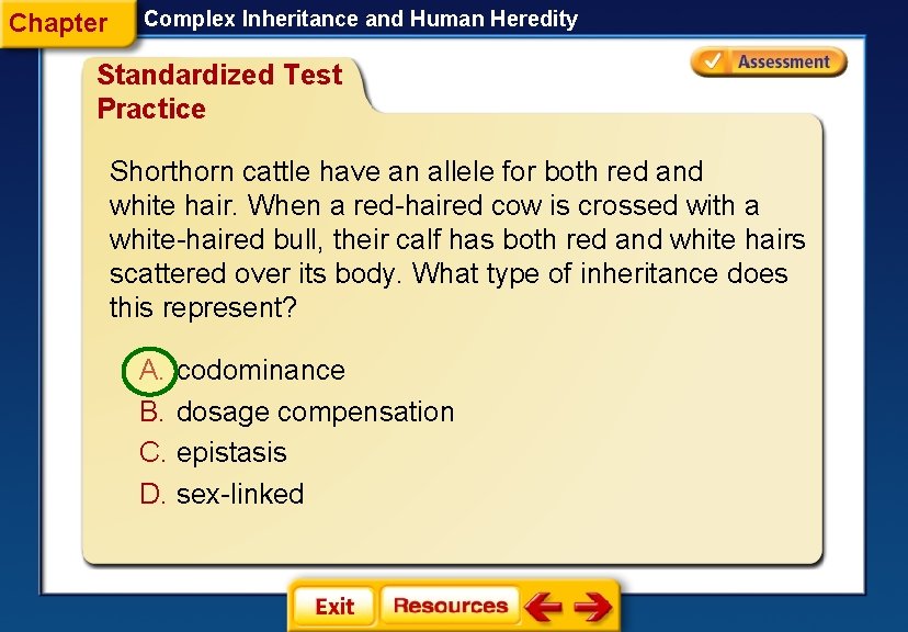 Chapter Complex Inheritance and Human Heredity Standardized Test Practice Shorthorn cattle have an allele Chapter Complex Inheritance and Human Heredity Standardized Test Practice Shorthorn cattle have an allele